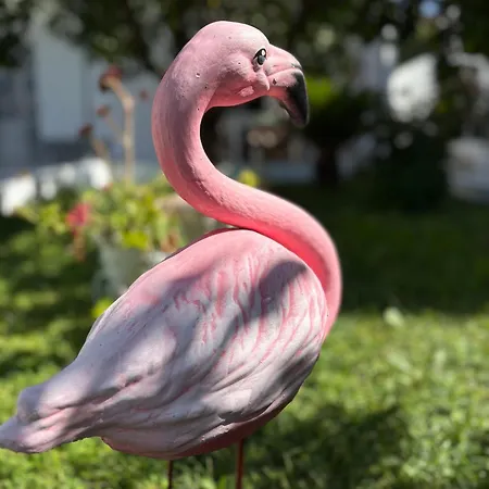 Zoel's House In Chalkidiki * Agia Paraskevi (Kassandra)