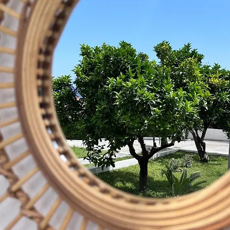 Zoel's House In Chalkidiki *
